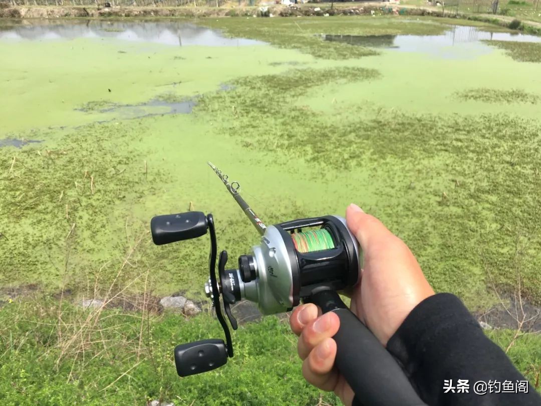 雷强钓黑鱼用几号pe线最好,雷强钓黑鱼的技巧攻略