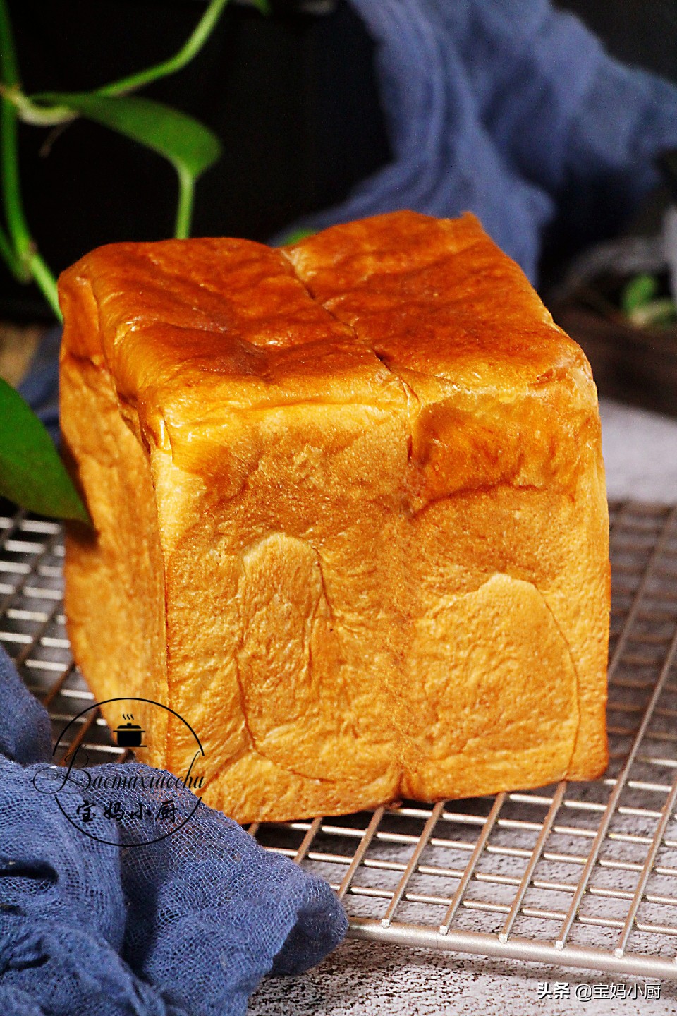 原味吐司在家怎么做,原味吐司的做法商用