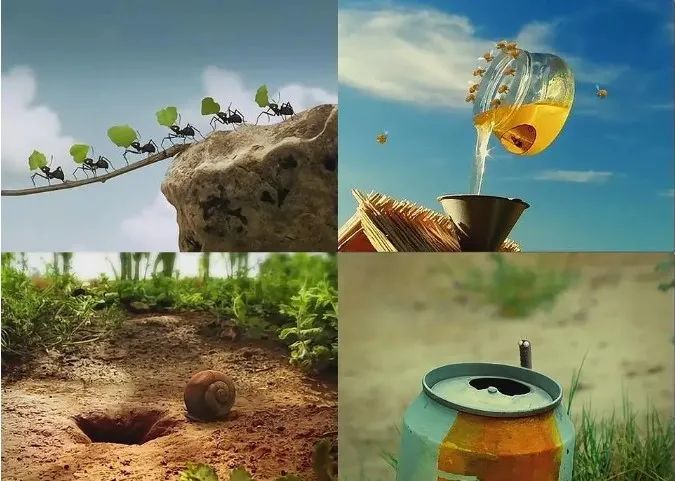 假期儿童纪录片推荐经典,青少年假期推荐纪录片