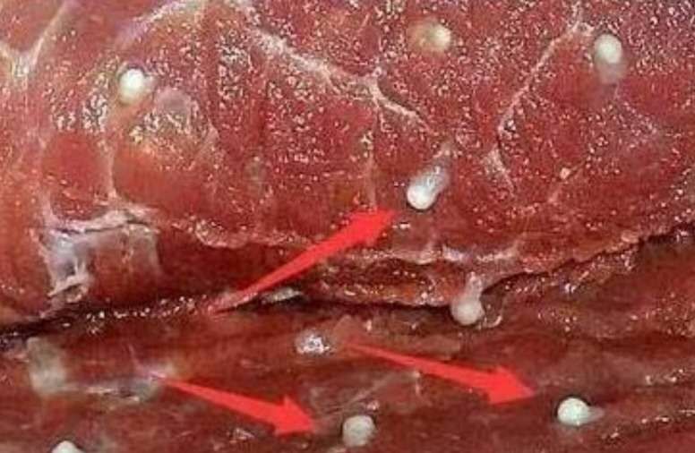 杀年猪吃的啥,杀年猪哪个部位肉最好吃