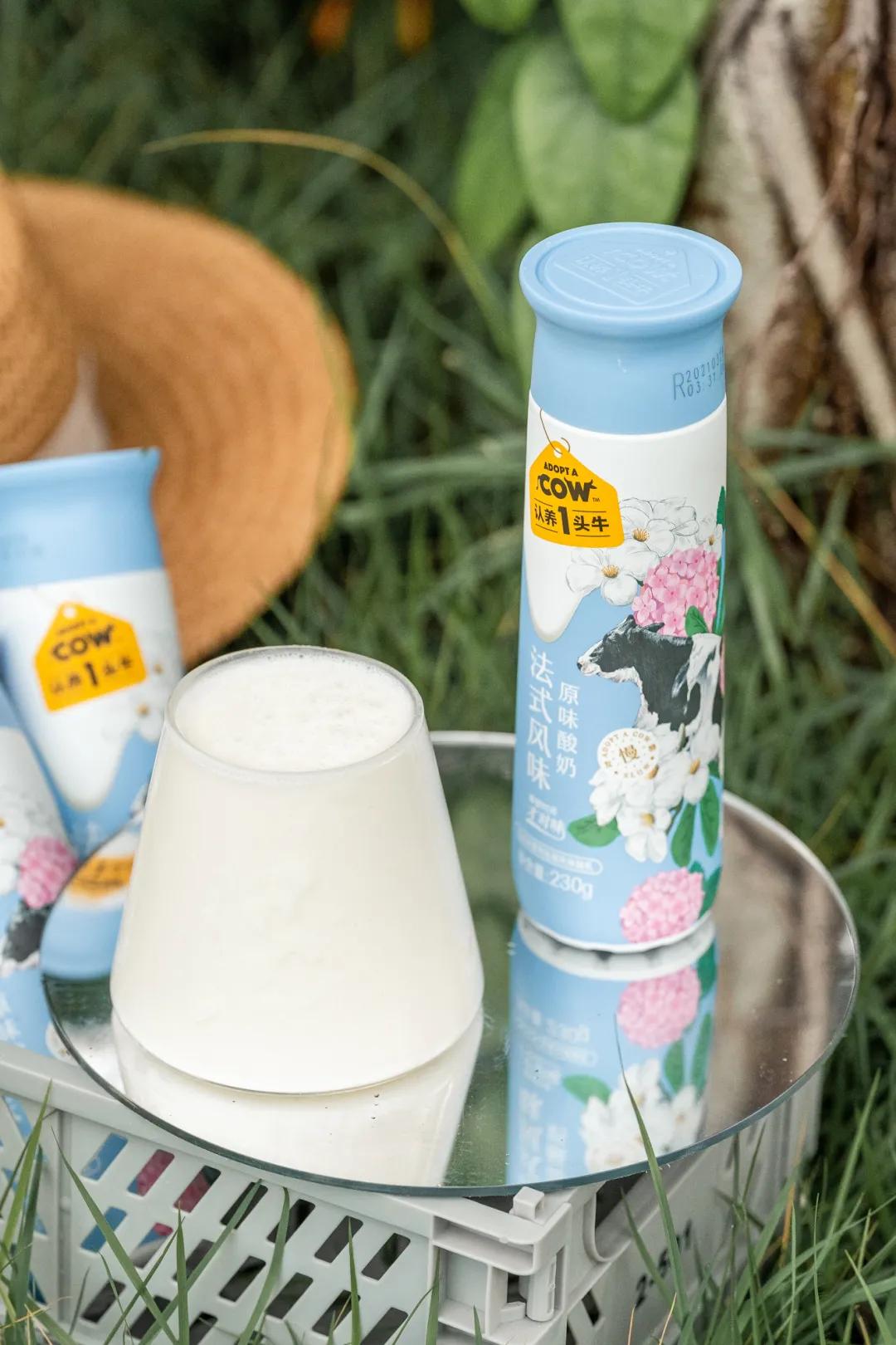 千万网红推荐的牛奶真的好喝吗,网红最好喝的纯牛奶