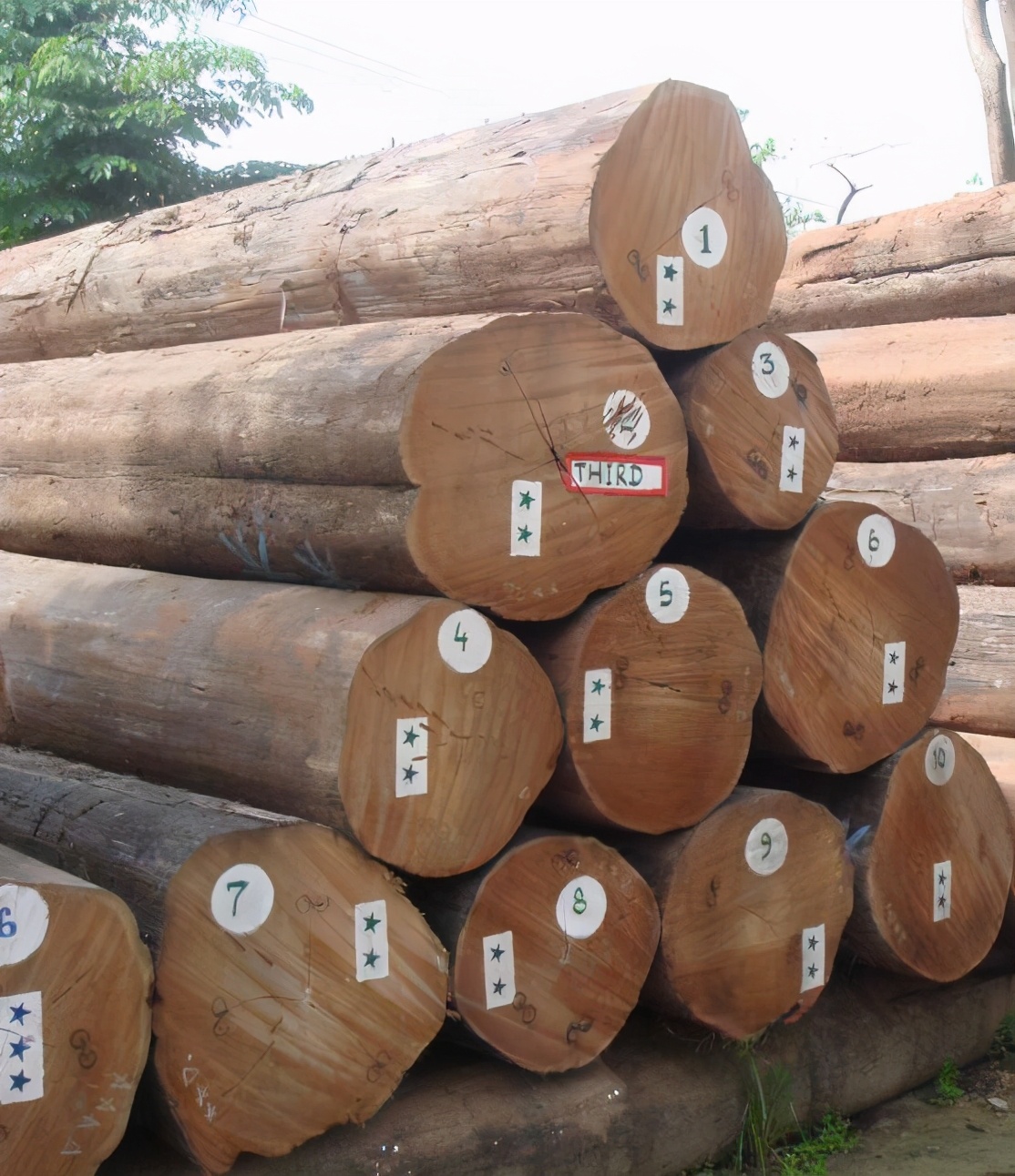 实木床材质哪个性价比高,2千左右的实木床买哪种材质