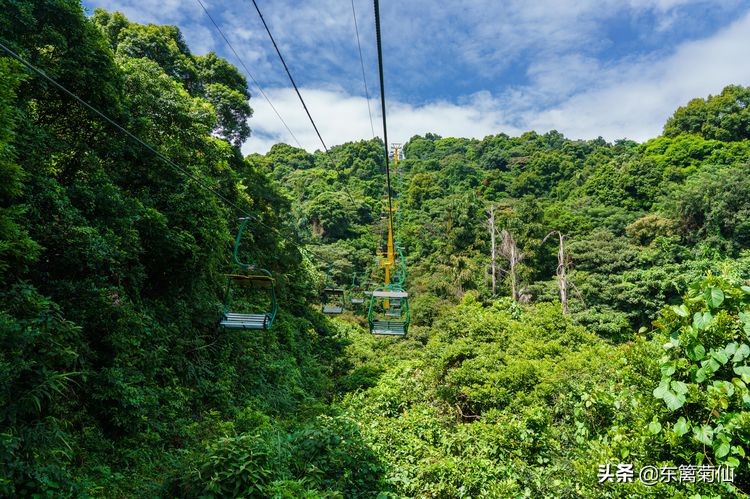 2021年文字祝福,2020年祝福合集