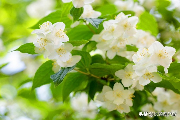 比较好用且价格实惠的香水,买到一支好用还不贵的香水