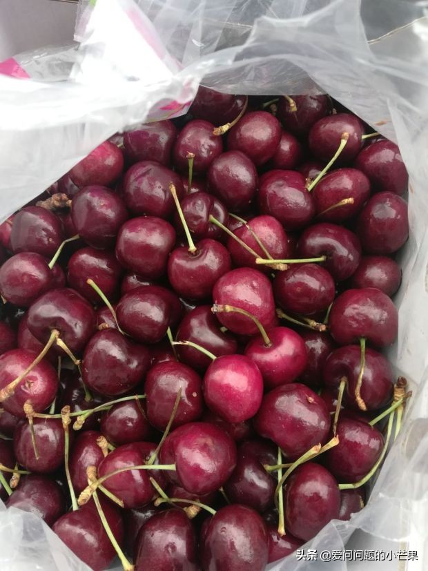 10斤智利车厘子多少钱,智利2j和3j车厘子哪个好