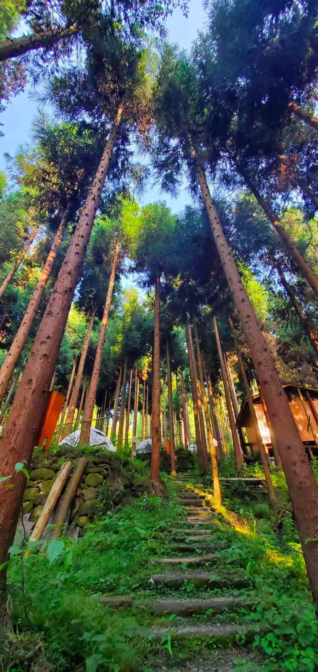 成都周边适合周末露营的地方,成都免费露营生火过夜地点推荐