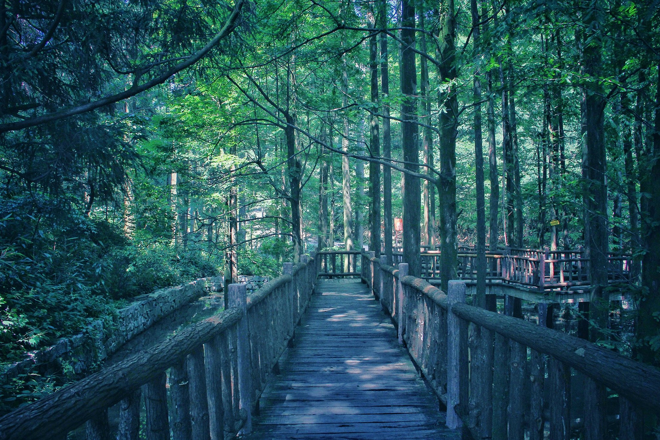 天台华顶山森林公园历史,李白来过天台吗