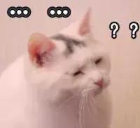 猫咪晚上睡觉太闹腾怎么办,猫咪晚上不睡觉一直闹腾怎么办