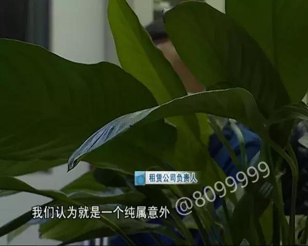 网约司机开车冲进滇池 (网约车司机把车开进滇池)