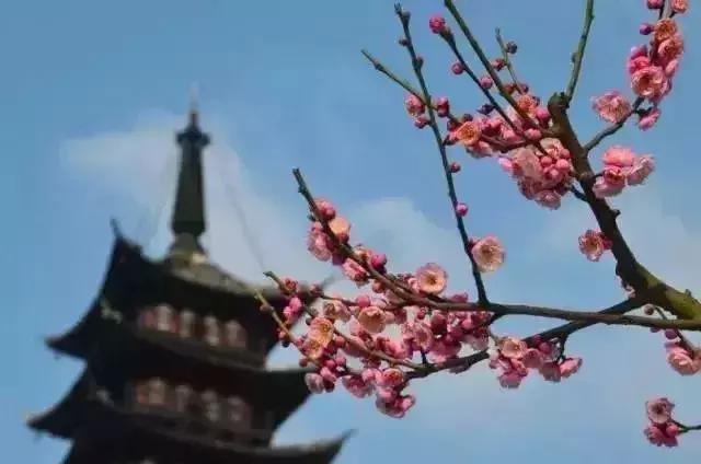 狂飙18级,狂飙18集公路飙车片段在哪