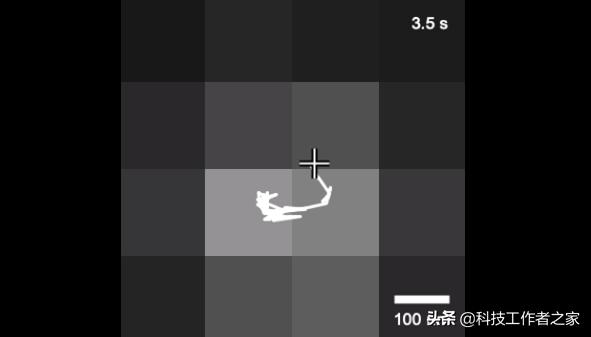 科学家们发现dna,科学家发现dna秘密