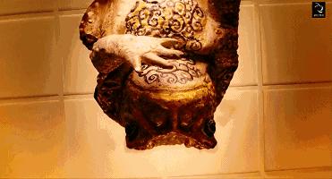 澳洲的蛤蟆有哪些,澳洲蛤蟆泛滥成灾