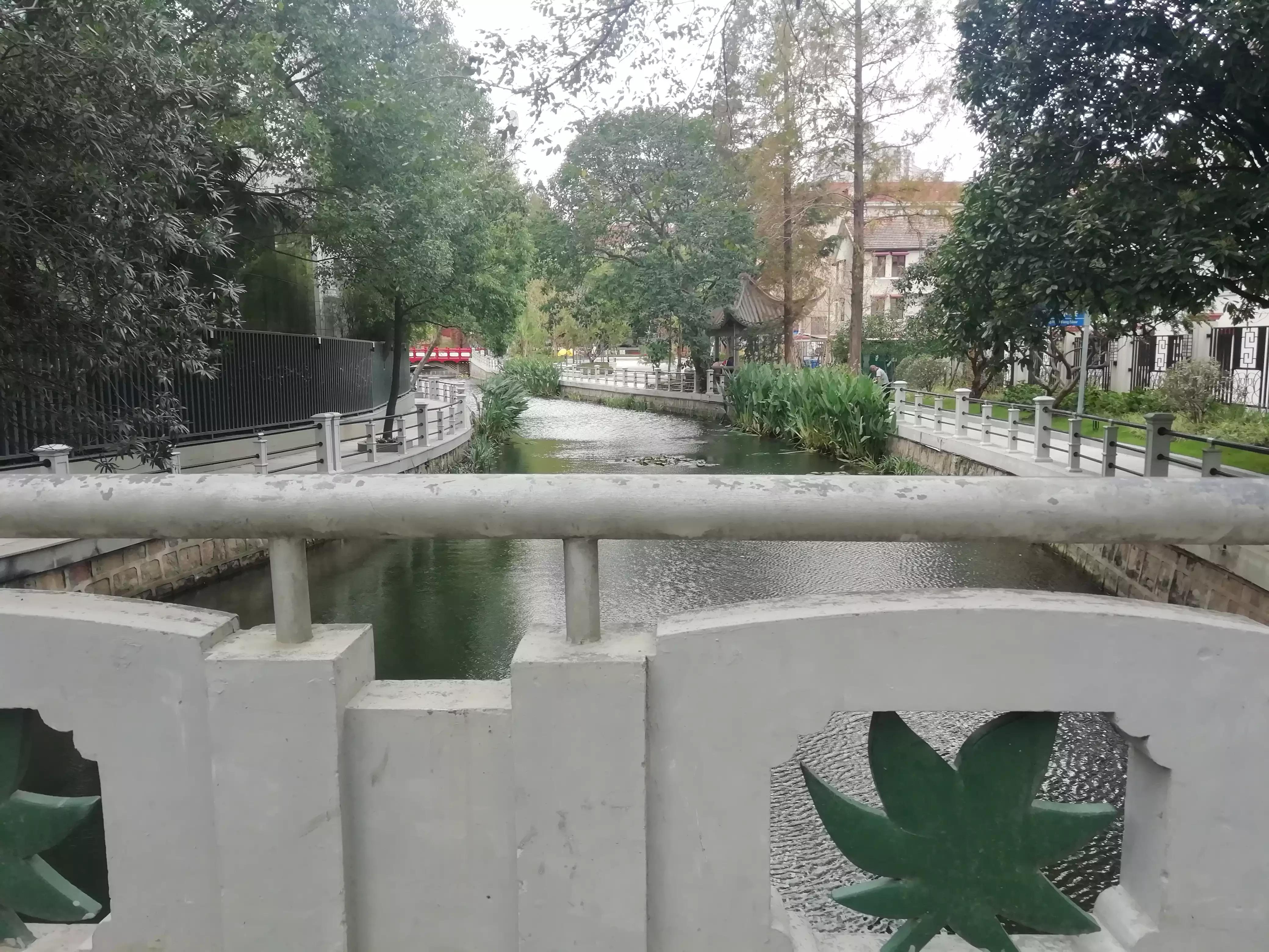 此劳模新村何以植物命名马路，以至美得像江南园林？