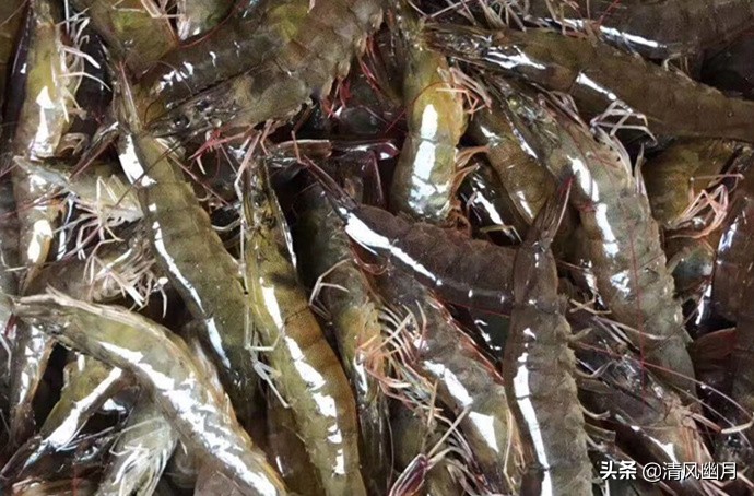 鲜虾怎么冷冻虾头不黑,冻虾怎么解冻才能保持最佳的口感