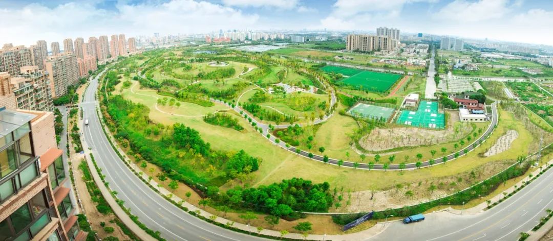 上海市宝山区为杨行镇筹划未来,工业区、城中村是弱点也是潜力