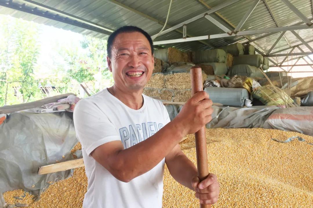 奈曼扶贫一点通,奈曼百企帮百村扶贫