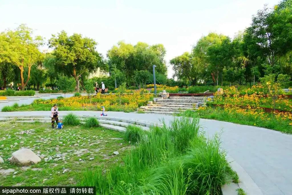 小暑福利活动,今日小暑暑热来袭如何觅得清凉