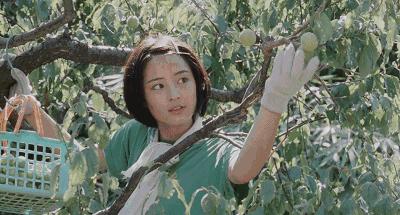 日本妹子最想变成谁的脸,日本妹子普遍长得好看吗