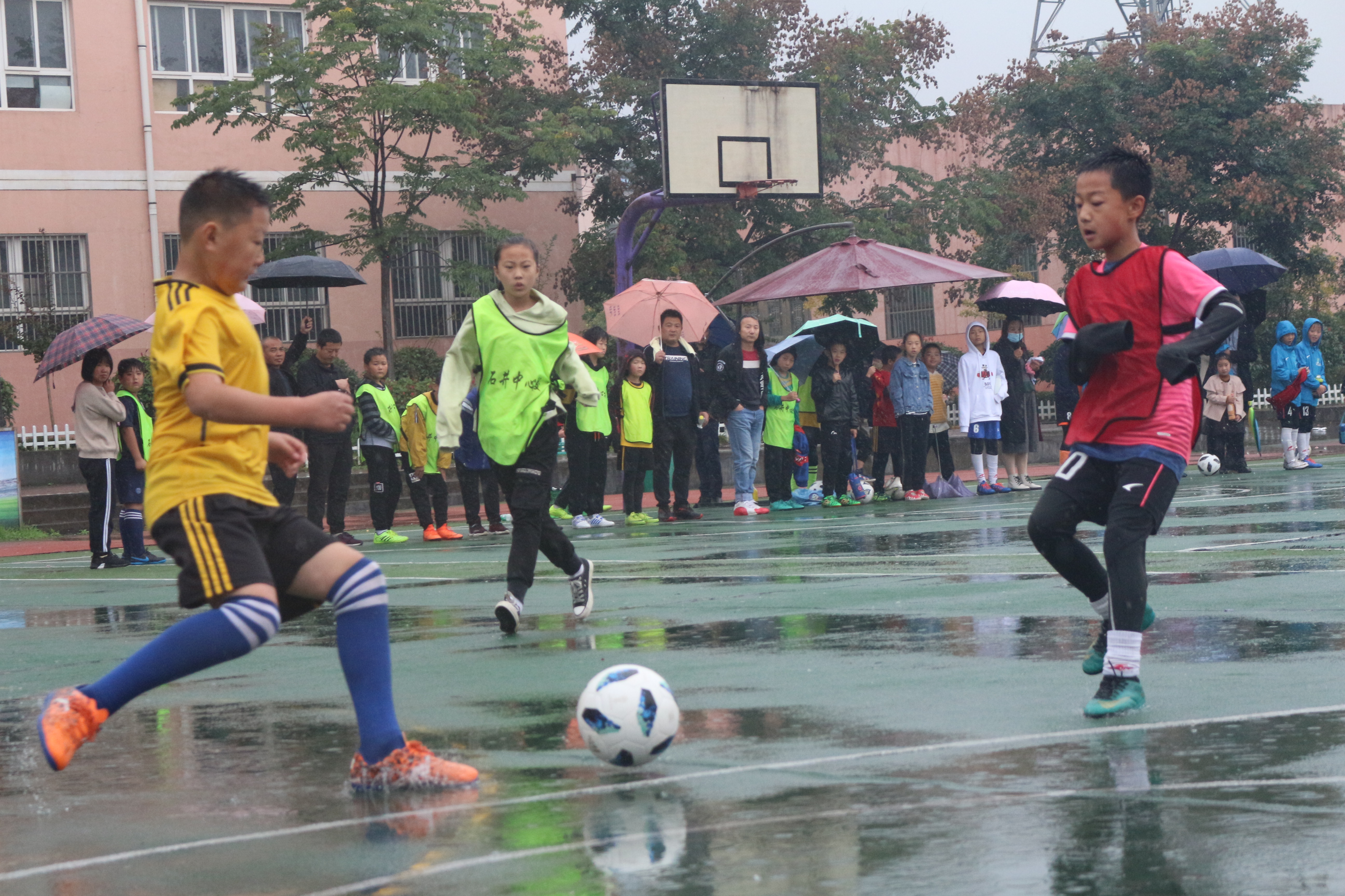 户县兴趣班,户县儿童兴趣班