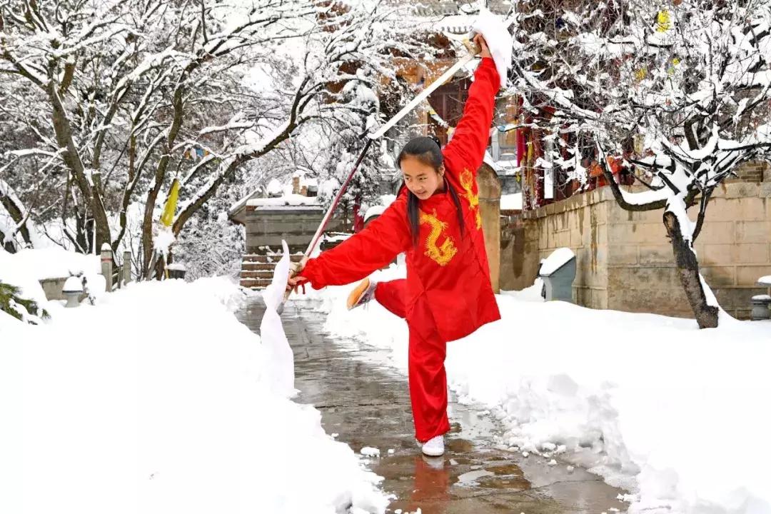 梅花桩传人韩建中视频,梅花桩韩建中徒弟名单