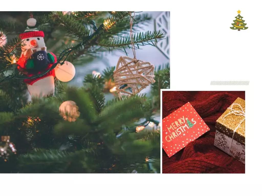 真话帮你拔草，别浪费钱了！