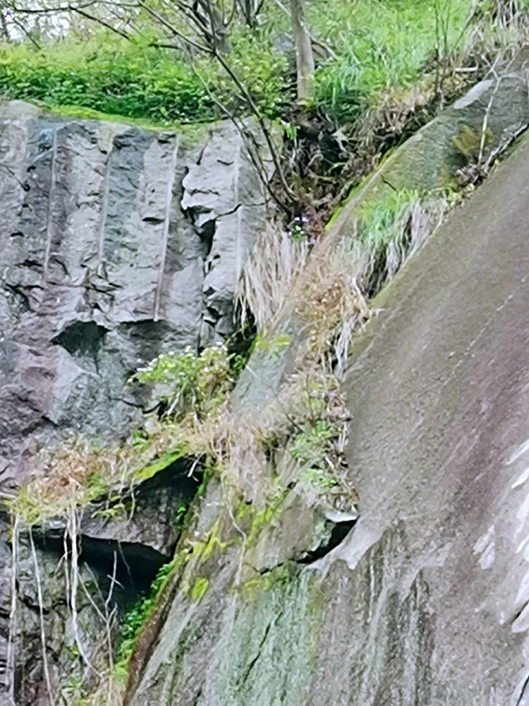 华容山水苑别墅100万,华容秀丽山水风景区