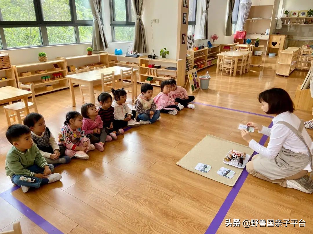 东莞早教班哪家早教中心比较好,早教机构哪家靠谱