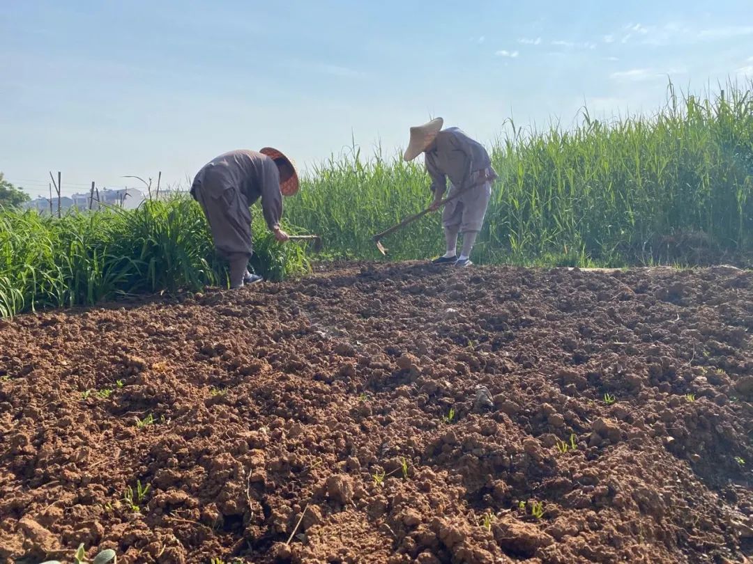 抢抓农时开展农业生产,农民纷纷抢抓春耕生产有利时机
