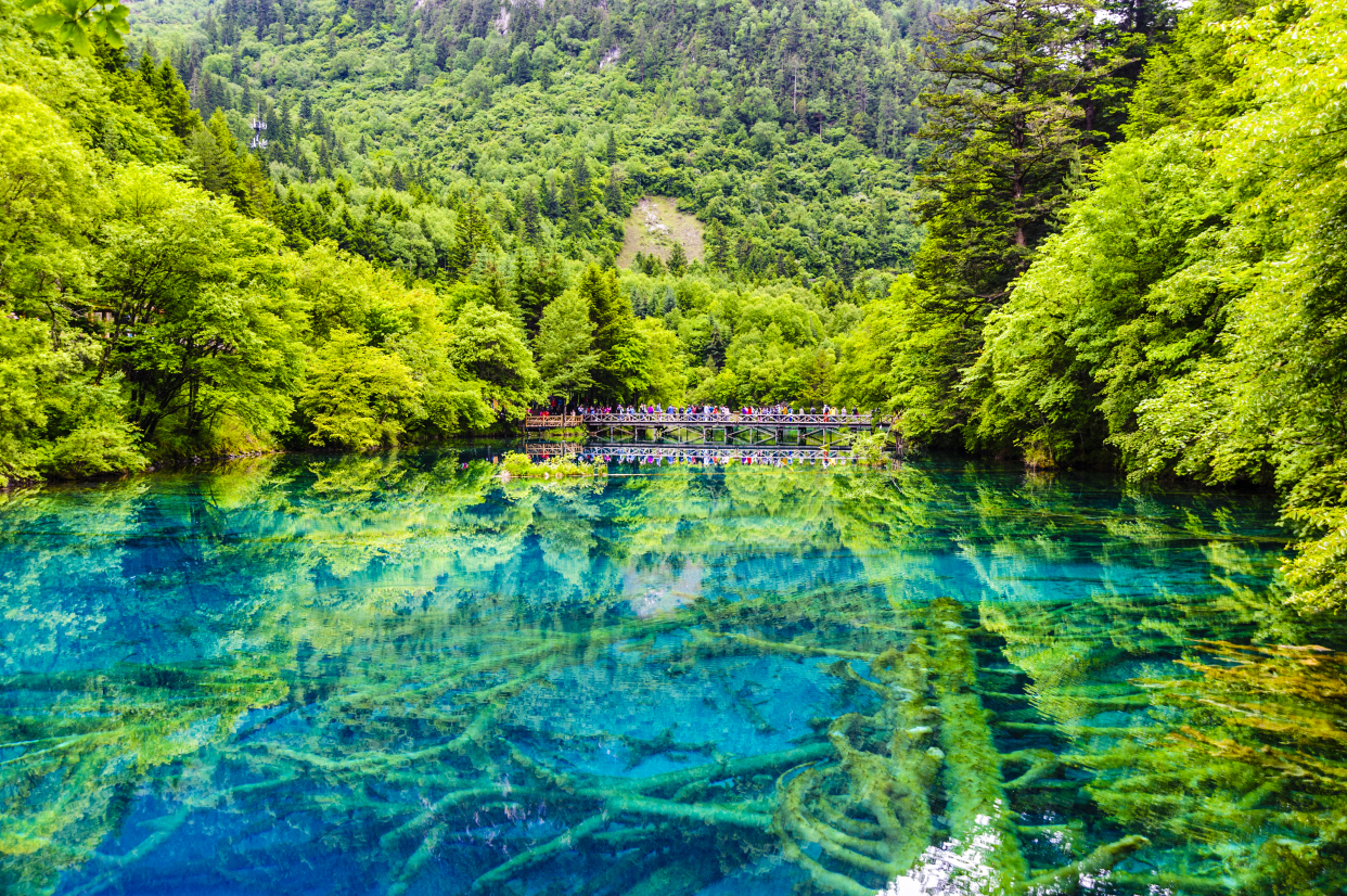 从重庆去九寨沟要经过哪些地方,重庆到九寨沟最新旅游攻略