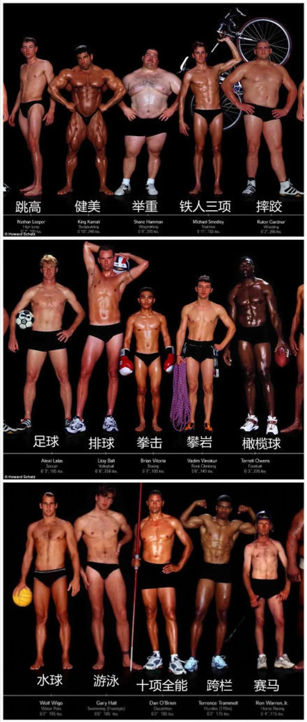 奥运会运动员身材排名,奥运健儿全体合照图