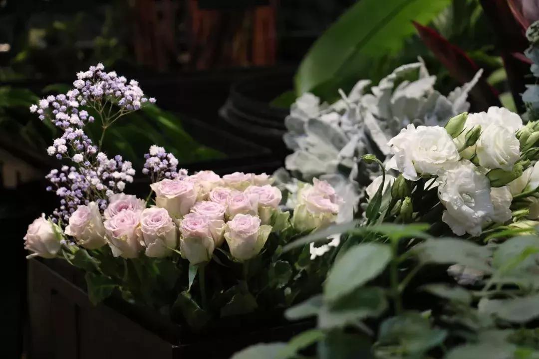 郑州三大花卉市场都是哪个,郑州哪个花卉市场最全