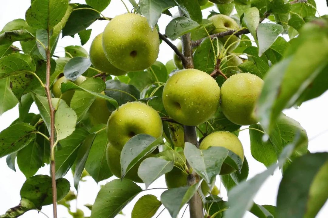 苏州夏季水上乐园最佳地点,夏季苏州