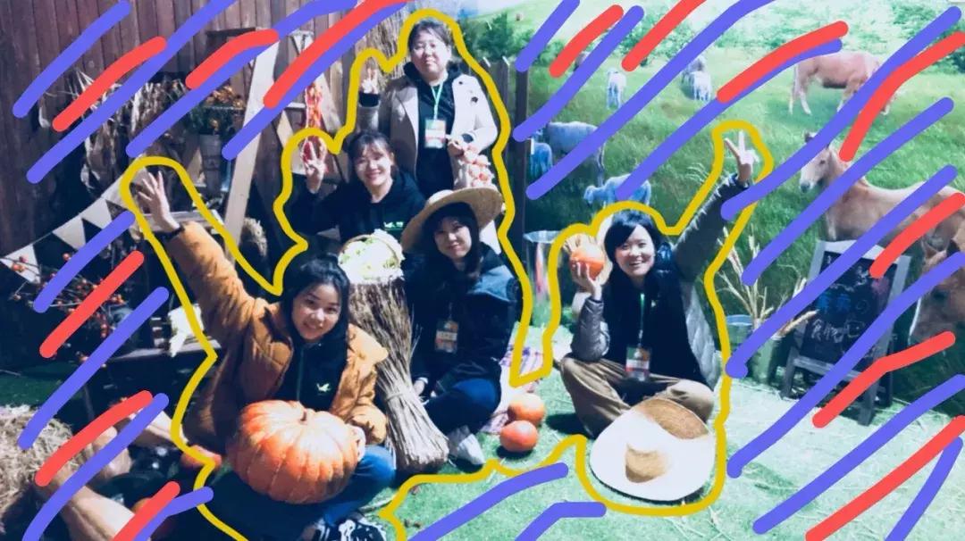 在大自然当中寻找有机蔬菜,为大家采摘绝对新鲜的有机蔬菜