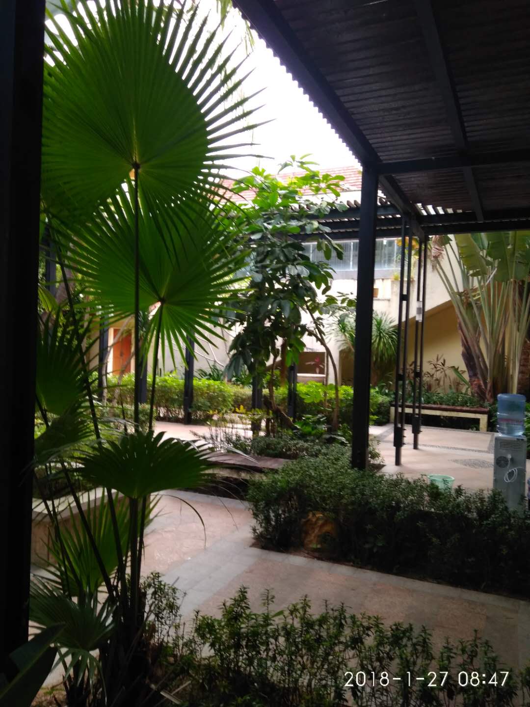 三亚之行视频,三亚之行录屏