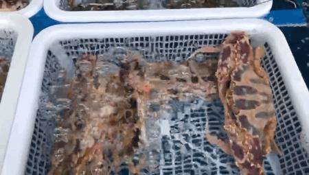 珠海东澳岛最高景点,珠海东澳旅游度假村