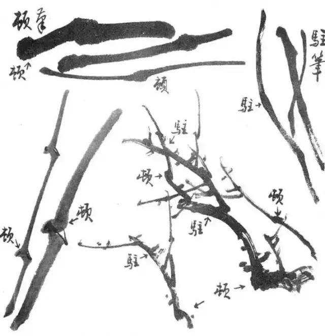 学会笔锋的正确方法,笔锋笔顺怎么练