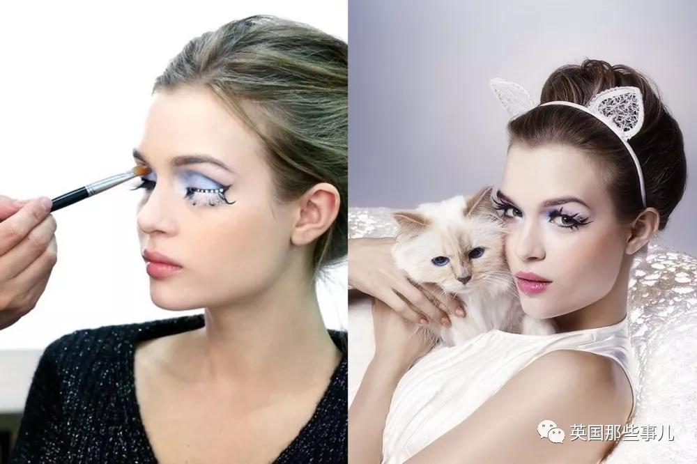 老佛爷的猫继承多少遗产,老佛爷去世后财产留给了一只猫