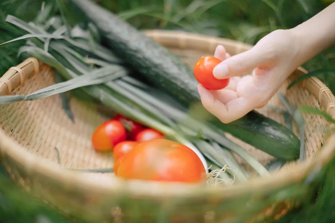 招募|穿过四季跑进福建，这一次跟着村跑去邂逅永春红