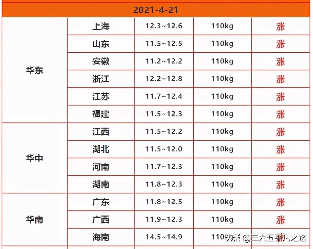 飞天猪2019年,飞天猪最新新闻