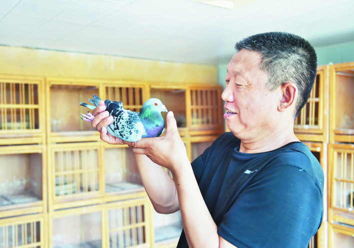 忻州高手:“鸽痴”周俏龙