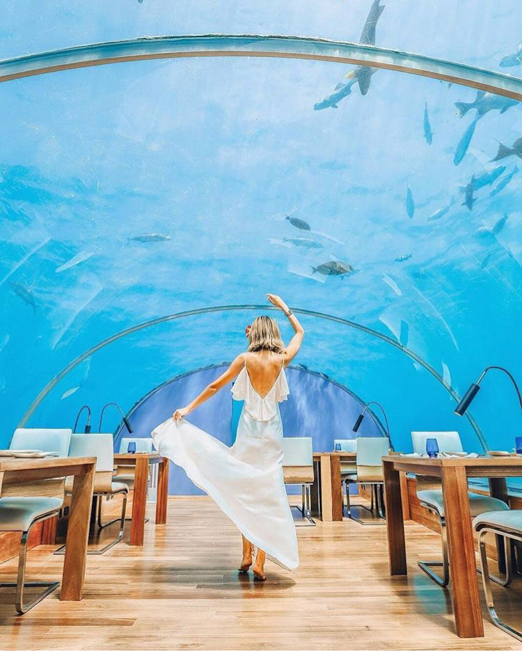 马尔代夫法式水上餐厅,马尔代夫海底餐厅视频
