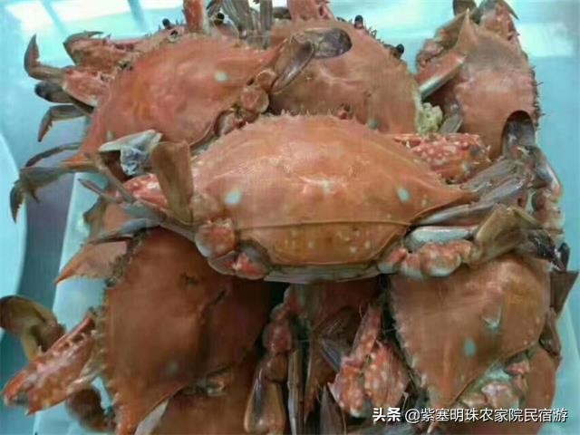 兴城宏越家庭宾馆介绍,兴城宏越家庭宾馆位置