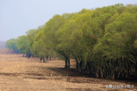 文安洼的由来,文安洼是怎么形成的