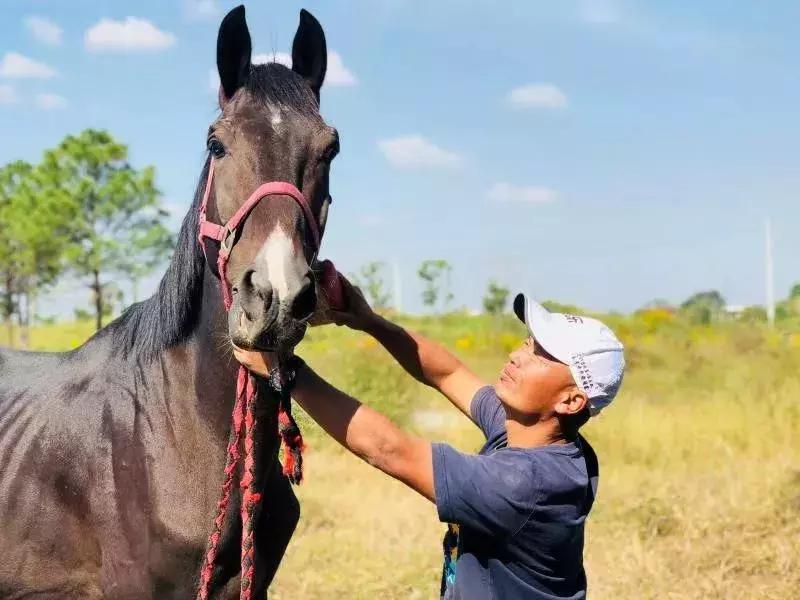 离杭17min，意大利设计师做了一个“最中国”的庄园，媲美安缦