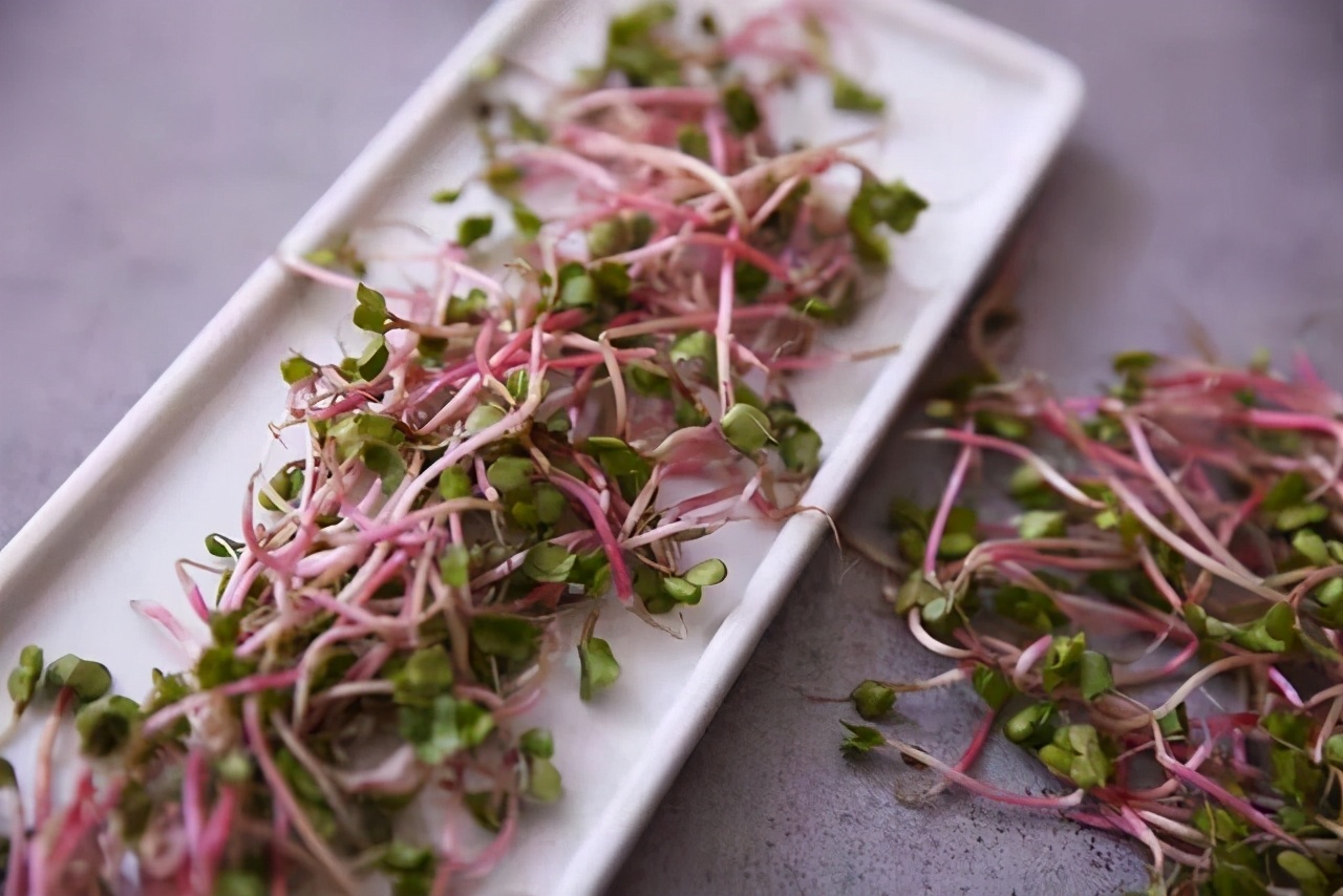 海归创业亏1700万,海归博士年收入八万万