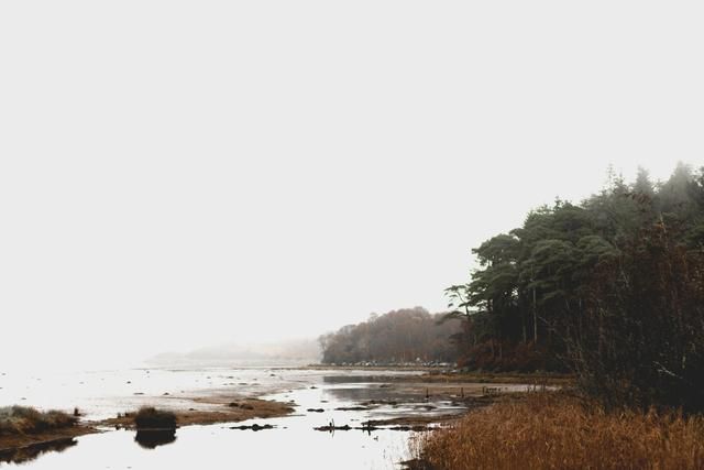 王安石写的江上,王安石退居江宁后诗风发生变化