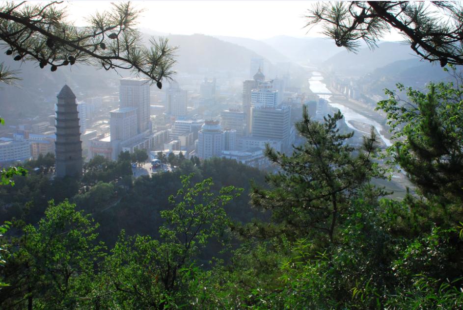 陕西省延安市制药企业,延安制药有哪些产品