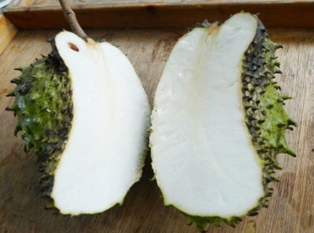 能治癌症的红色果子,抗癌最强的果子