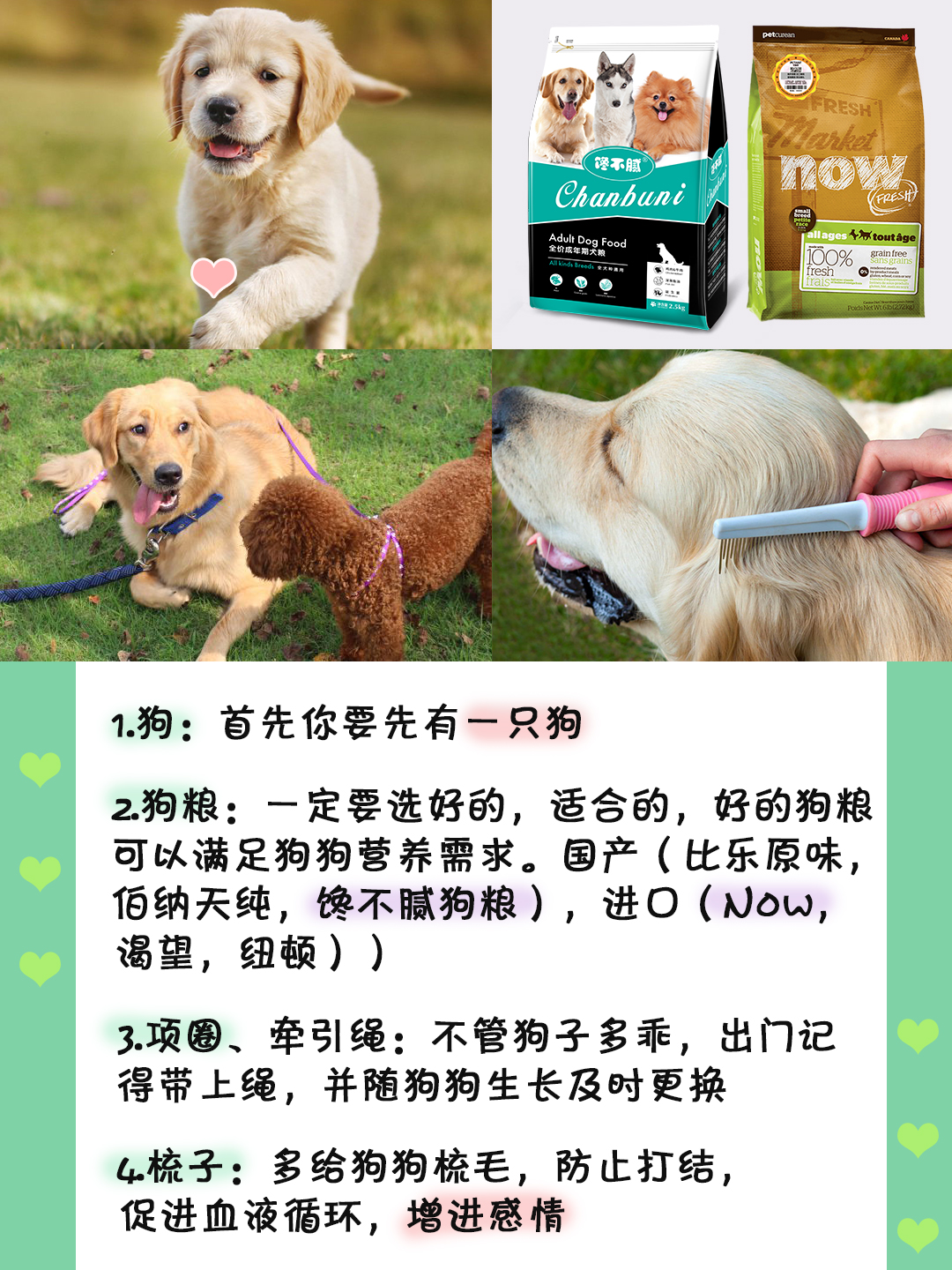 养狗新手必买物品,养狗必备物品清单大全