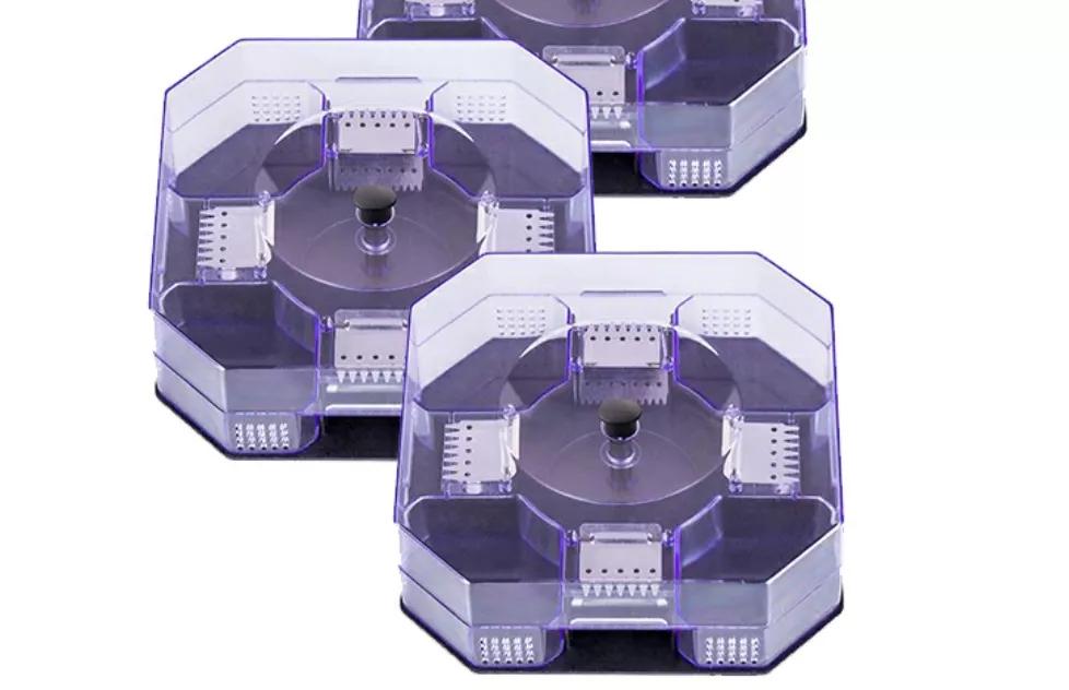 家里蟑螂用药不好使怎么办,灭蟑螂的最好方法彻底消灭蟑螂